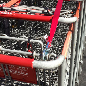 Cart Retrieval Strap