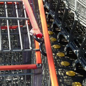 Cart Retrieval Strap