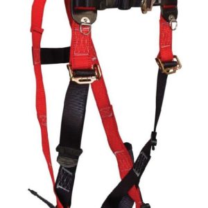 Body Harness