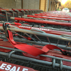 Shopping cart seat belts