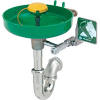 Eyewash Station - Wall Mount, Plumbed